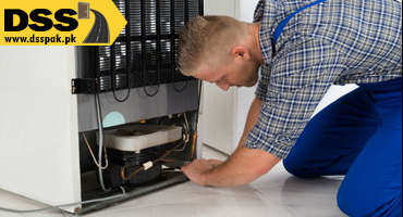 Professional Handyman Services